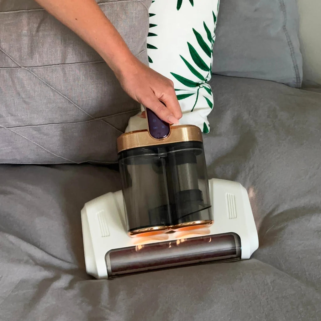 Cleanvora
